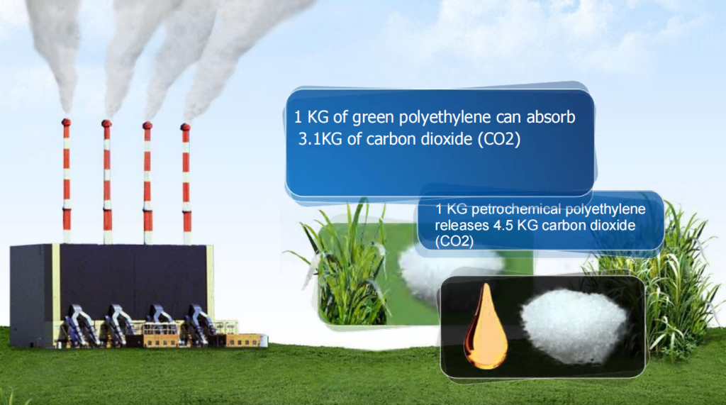 bio-based winding film