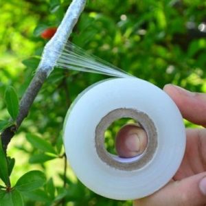 Grafted stretch film