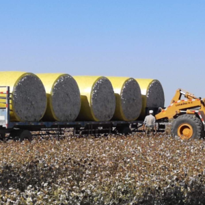 cotton bale wrap film
